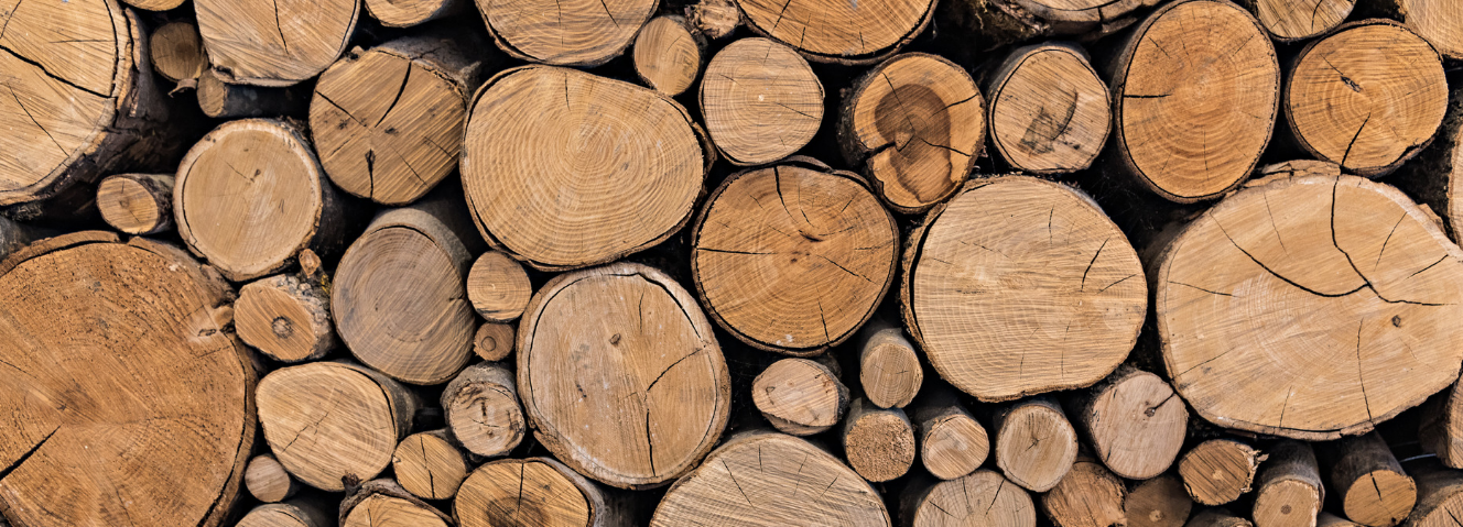 INSTALLAZIONE DELLE GRU A CAVO FORESTALI E TECNICA DI ESBOSCO