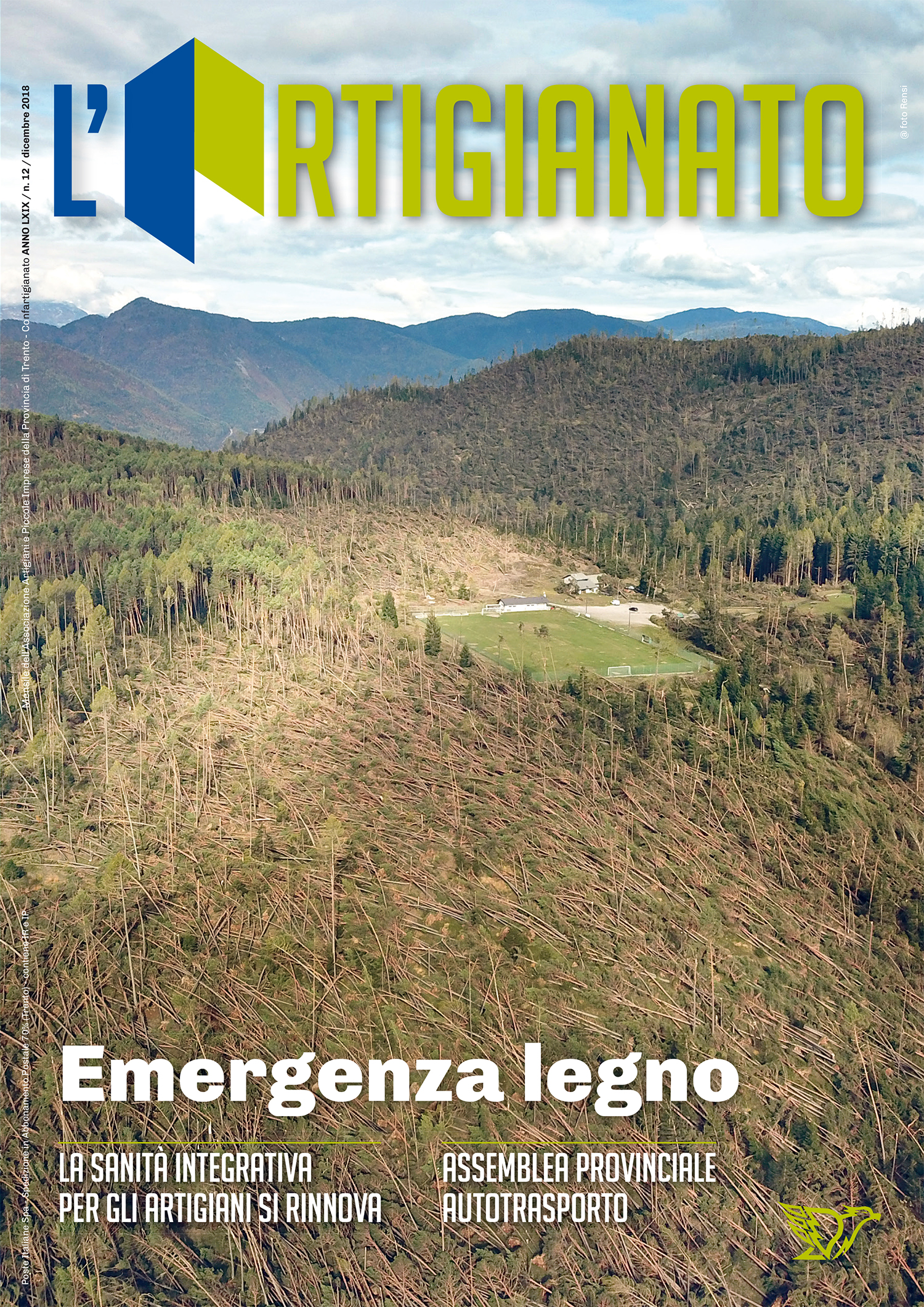 Emergenza legno