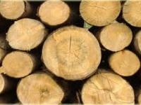 Incontro con le aziende trentine del settore legno