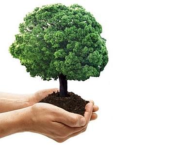 Operatori settore energie rinnovabili: un’occasione da non perdere!