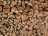 Verona: energia dal legno a “Progetto Fuoco”