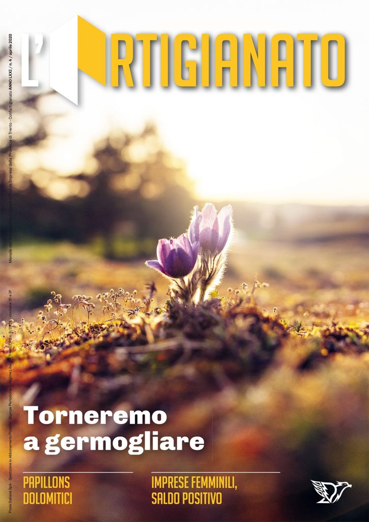Torneremo a germogliare