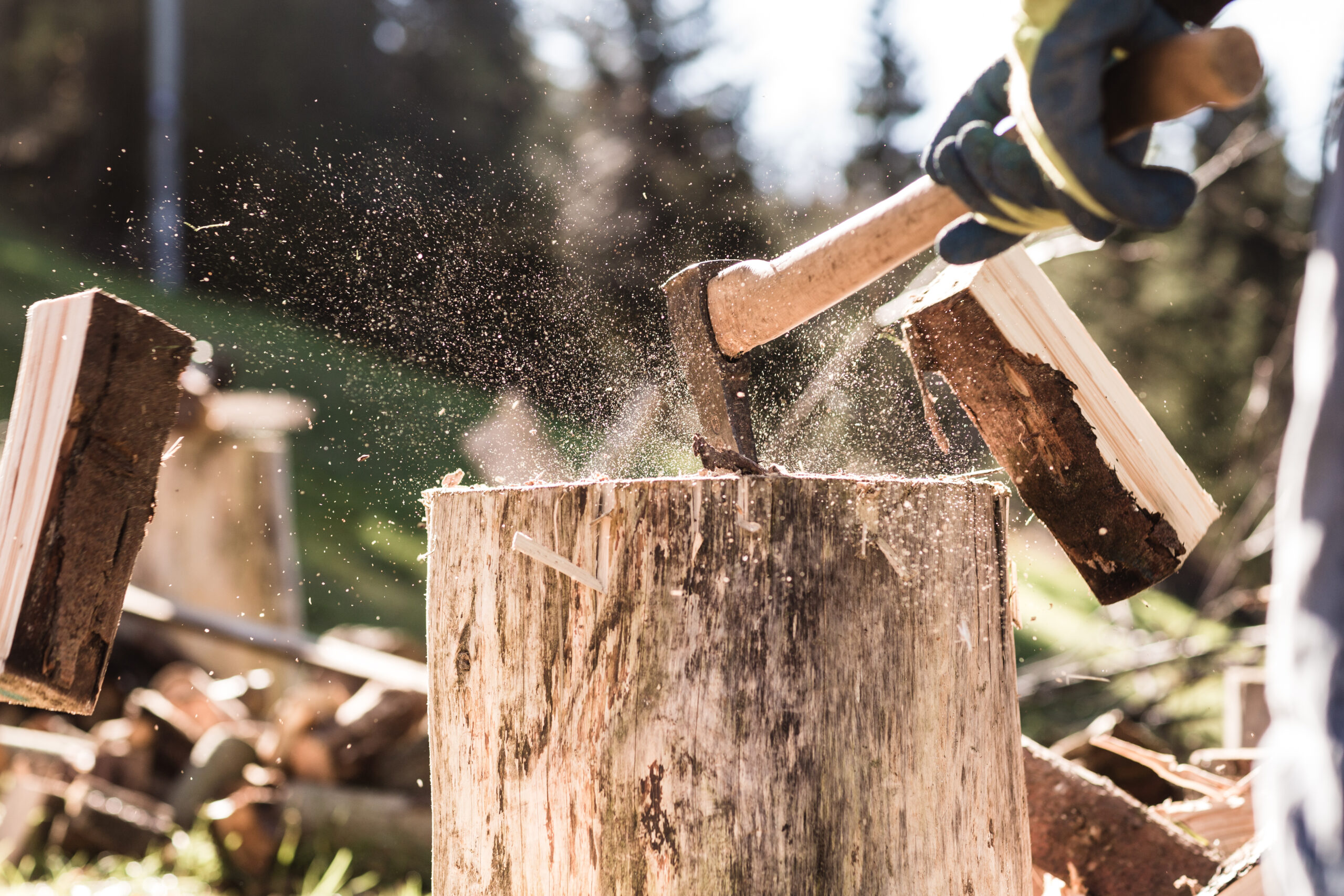 Aperto il Bando PSR per acquisto di attrezzature forestali