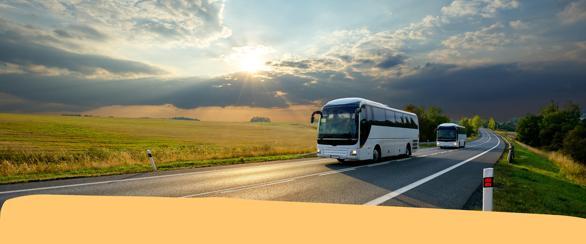 Trasporto pubblico non di linea: chiarimenti sul Green Pass