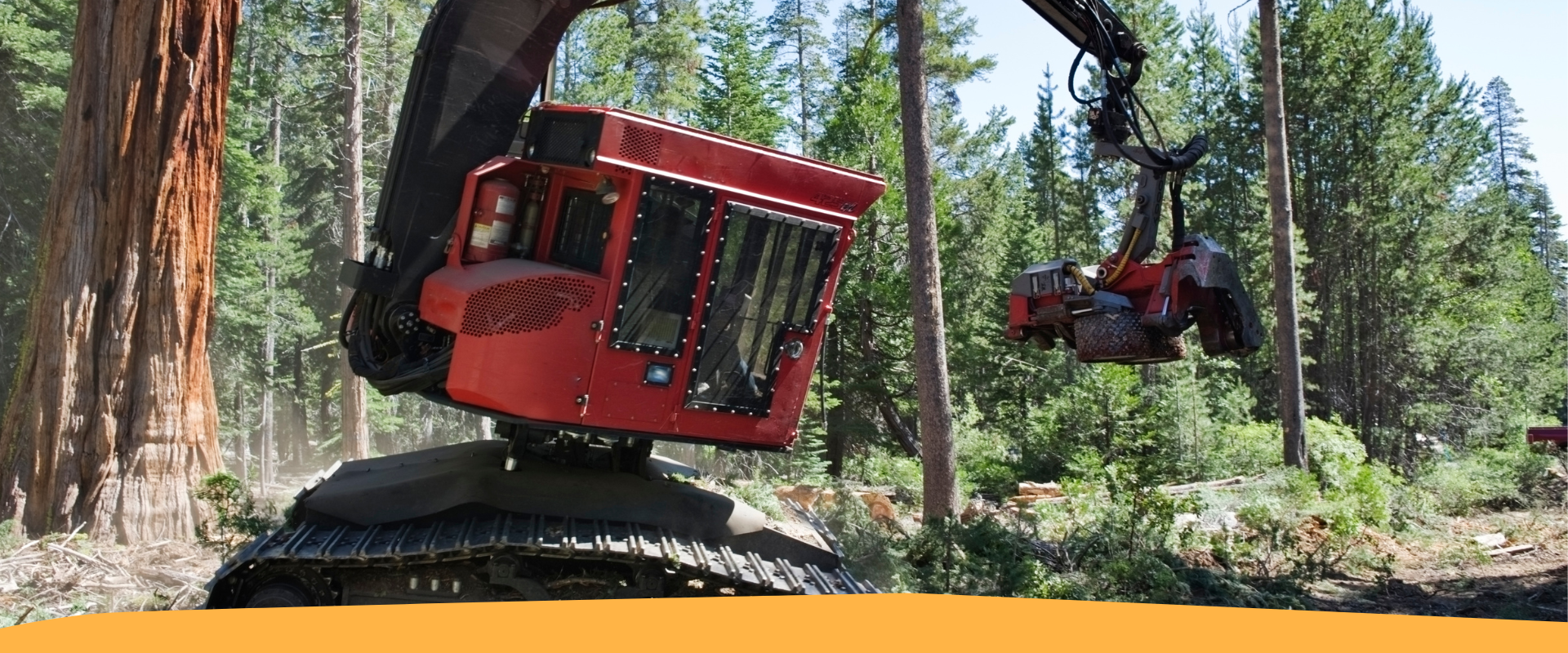 Finanziamenti per l’acquisto di attrezzature forestali: un milione di euro dalla Provincia
